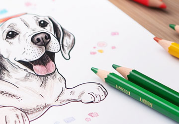 Ausmalbilder Tiere, Hund Katze und co.