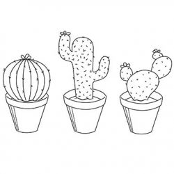 Kakteen, Ausmalbild, Malvorlage