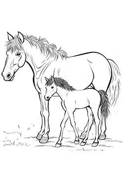Pferd-mit-Fohlen-01