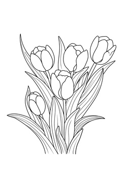 Tulpen