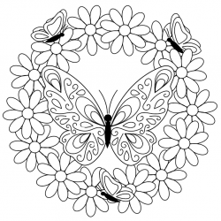 Ausmalbild / Malvorlage-Schmetterling